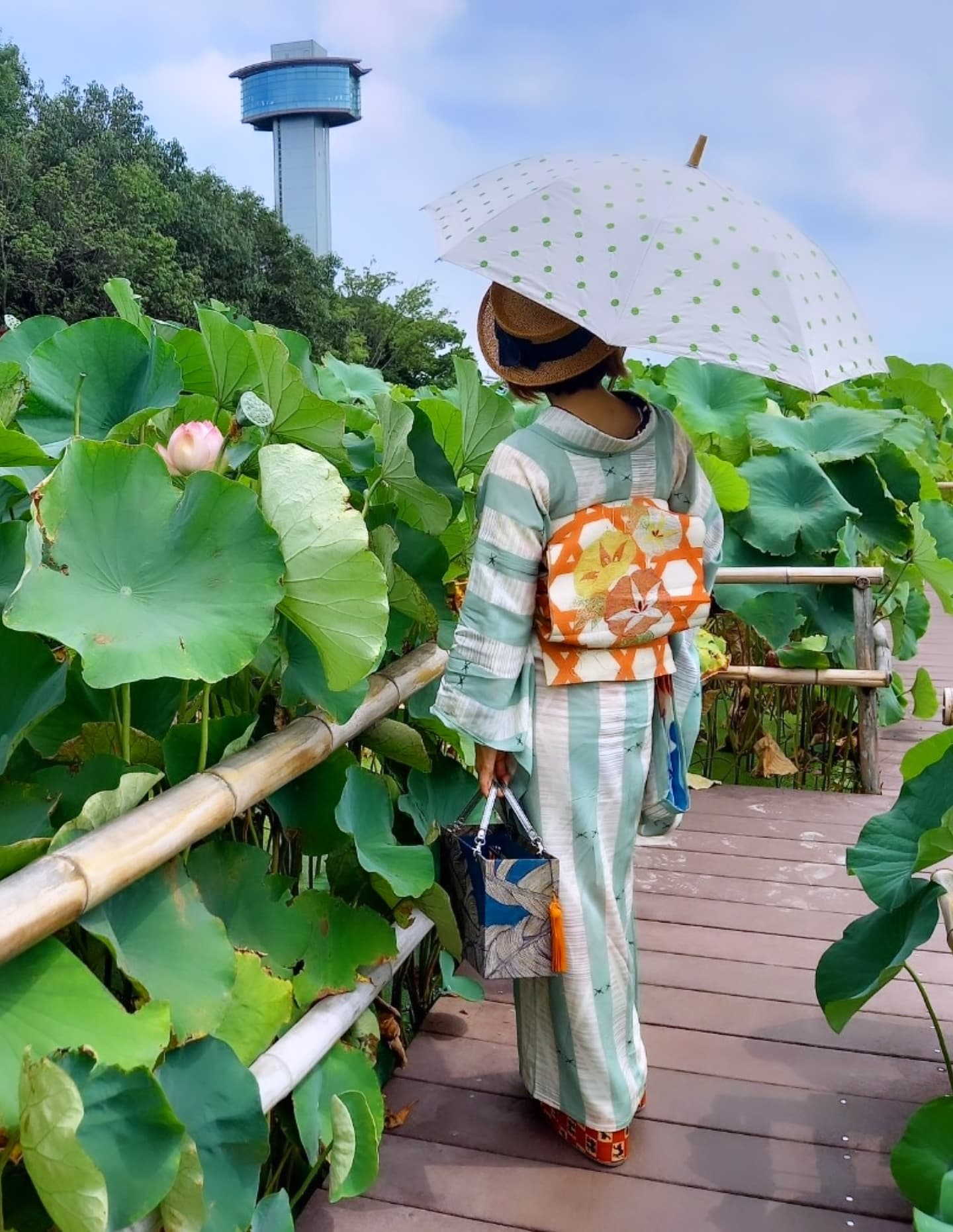 夏の着姿